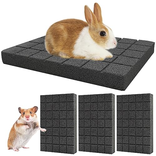 Hamiledyi Kratzfuß-Pads für Kaninchen, 4 Stück, kleine Tiere, Lava-Schleifzähne, Stein, Hamster, Schleifzähne für Meerschweinchen, Ratten, Rennmäuse, Chinchilla, Igel von Hamiledyi