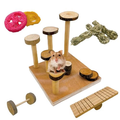 Hamiledyi Holz Hamster Plattform Hamster Aktivität Spielplatz Hamster Wippe Klettern Spielzeug Set Käfig Zubehör für Zwerg Syrischer Hamster Rennmaus Maus Zuckergleiter von Hamiledyi