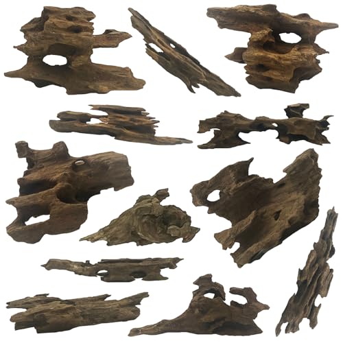 Hamiledyi Natürliches Treibholz für Aquarium-Dekoration, Aquarium-Holz mit kleinem Loch, Aquarium-Holz, Aquascaping für Garnelen, Betta, Einsiedlerkrebse und Schmetterlingsfische von Hamiledyi