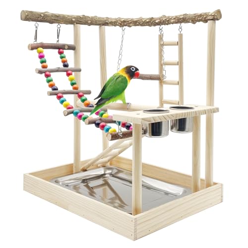 Hamiledyi Vogelspielplatz Papageien Holz Sitzstange Ständer Nymphensittich Spielplatz Vogel Spiel Gym Farben Klettern Leitern Schaukel Kauspielzeug mit Sittich Fütterungsbecher Übung Aktivitätszentrum von Hamiledyi