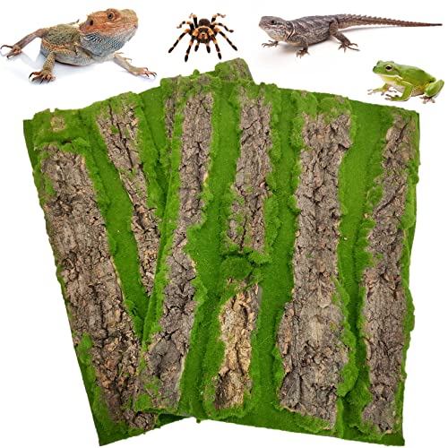 Hamiledyi Reptilien-Kork-Terrarium-Hintergrund, Gecko-Tank-Hintergrund, Wanddekoration mit künstlichem Moos und Rinden, Lebensraum-Dekoration für Schildkröte, Bart, Drache, Amphibien, 2 Stück von Hamiledyi