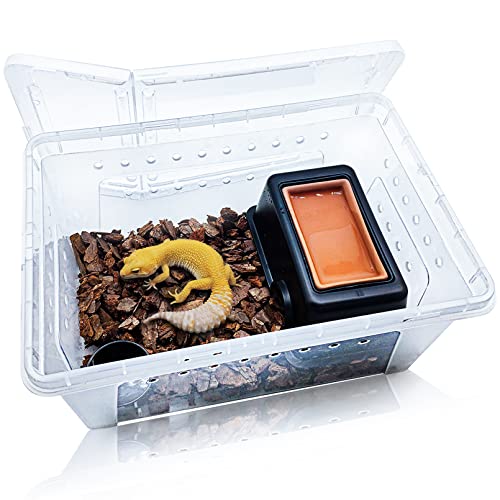 Hamiledyi Reptilien-Zuchtbox-Set, tragbarer Gecko-Futterbehälter, kleines Schlangen-Terrarium, Habitat, transparentes Kunststoffhaus für Mini-Haustier-Schildkröte, Tarantel, Skorpion, Spinnene, Eidechse, Versteck von Hamiledyi