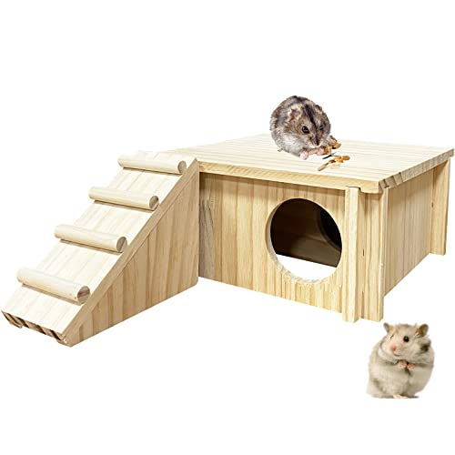 Hamster Holzhaus mit Leiter Kleintierversteck Aktivitätsplattform Übung Klettern Hütte Natur Wohnzimmer Holz Zimmer für Hamster Rennmäuse Meerschweinchen Mäuse von Hamiledyi