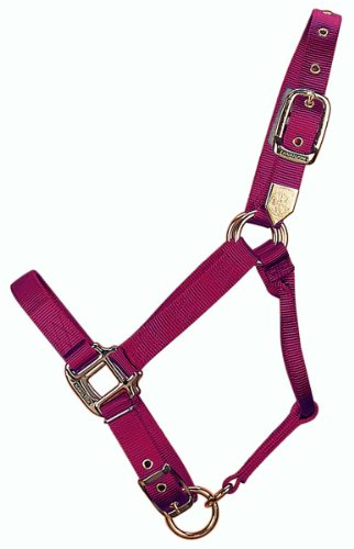 Hamilton 1-Inch Nylon Adjustable Horse Halter, Large Size von Hamilton