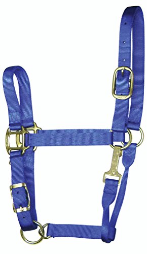 Hamilton 1-Inch Nylon Adjustable Quality Halter with Chin Snap for 500 to 800-Pound Horse, Small, Blue von Hamilton