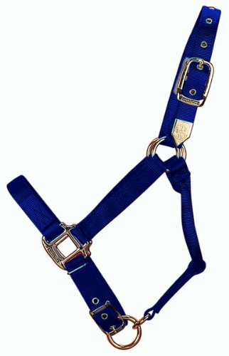 Hamilton 1-Inch Nylon Adjustable Quality Horse Halter with Adjustable Chin, Large Size von Hamilton