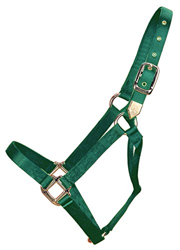 Hamilton 1-Inch Nylon Horse Halter, Small, 500 to 800-Pound, Dark Green von Hamilton