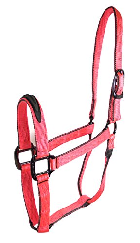 Hamilton 1-Inch Nylon Quality 2-Tone Halter with Gun Metal Hardware for 800 to 1100-Pound Horse, Average, Coral/Grey von Hamilton