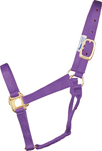 Hamilton 1-Inch Nylon Quality Halter for 300 to 500-Pound Horse, Yearling, Lavender von Hamilton