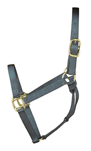 Hamilton 1-Inch Nylon Quality Halter for 800 to 1100-Pound Horse, Average, Graphite von Hamilton