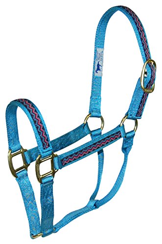 Hamilton 1-Inch Nylon Quality Halter for 800 to 1100-Pound Horse, Average, Weave, Ocean Blue von Hamilton