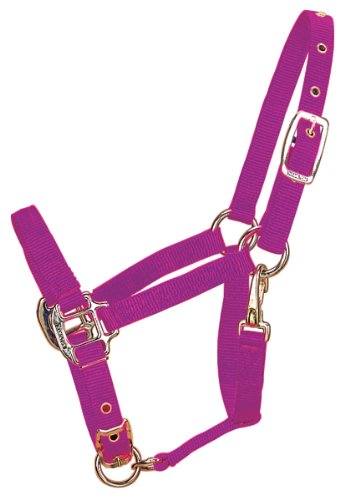 Hamilton 3/4-Inch Adjustable Chin Foal Halter with Snap (100 to 200 Pounds) Wine von Hamilton