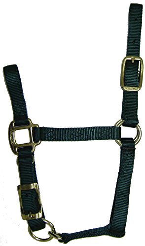 Hamilton 3/4-Inch Adjustable Quality Horse Halter, Weanling or Large Pony, Dark Green von Hamilton