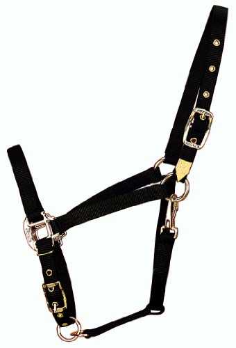 Hamilton 3/4-Inch Nylon Arabian Horse Halter with Adjustable Chin and Throat Snap, Average, 800 to 1100 pounds, Black von Hamilton