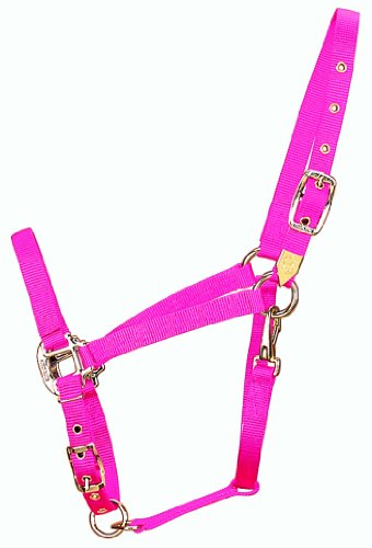 Hamilton 3/4-Inch Nylon Arabian Horse Halter with Adjustable Chin and Throat Snap, Average, 800 to 1100 pounds, Hot Pink von Hamilton