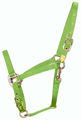 Hamilton 3/4-Inch Nylon Arabian Horse Halter with Adjustable Chin and Throat Snap, Average, 800 to 1100 pounds, Lime Green von Hamilton