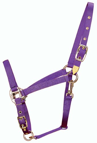 Hamilton 3/4-Inch Nylon Arabian Horse Halter with Adjustable Chin and Throat Snap, Average, 800 to 1100 pounds, Purple von Hamilton