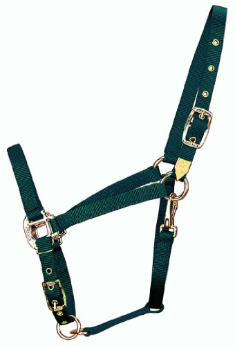 Hamilton 3/4-Inch Nylon Arabian Horse Halter with Adjustable Chin and Throat Snap, Small, 500 to 800 pounds, Dark Green von Hamilton