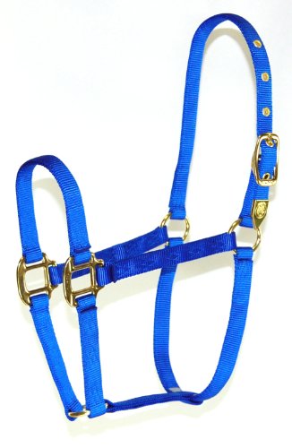 Hamilton 8D AVBL 3/4-Inch Nylon Arabian Horse Halter for 800 to 1100-Pound Horse, Blue von Hamilton