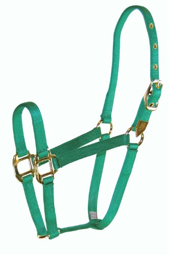 Hamilton 8D AVGN 3/4-Inch Nylon Arabian Horse Halter for 800 to 1100-Pound Horse, Green von Hamilton