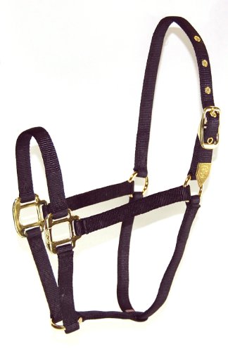 Hamilton 8D SMBK 3/4-Inch Nylon Arabian Horse Halter for 500 to 800-Pound Horse, Black von Hamilton