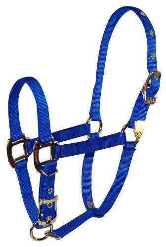 Hamilton 8DA SMBL 3/4-Inch Nylon Adjustable Arabian Horse Halter for 500 to 800-Pound Horse, Blue von Hamilton