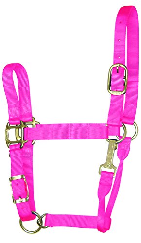 Hamilton Halfter aus Nylon, verstellbar, mit Kinnverschluss, 2,5 cm, für Pferde von 800 bis 500 kg, Hot Pink von Hamilton