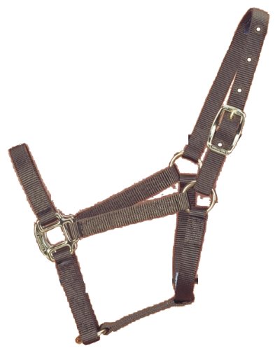 Hamilton Halfter für Pferde, Nylon, 1,9 cm (100 bis 90 kg), Fohlen, Braun von Hamilton