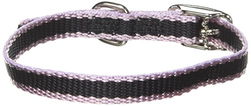 Hamilton ST 12TSPK Collar Stripe, pink von Hamilton