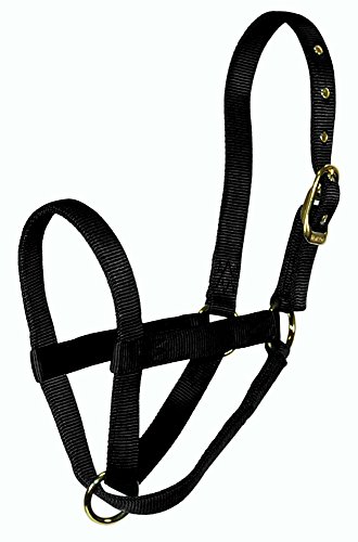 Hamilton Yearling Cow Turn Out Halter, 1-Inch, Black von Hamilton