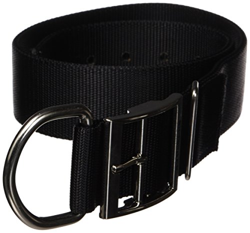 Hamilton Deluxe Hundehalsband, doppelt dick, Nylon, 1-3/4" x 32", Dog, schwarz von Hamilton