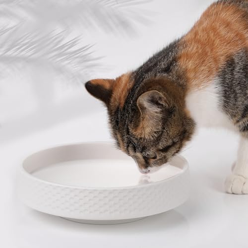 Futternapf aus mattierter Keramik, 17,8 cm, breit, flach, robust, für große Hunde/Katzen, 0,7 l, 1 Packung (weiß) von Handmade Max