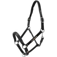 Hans Melzer Horse Equiqment Hans Melzer Halfter Schwaiganger schwarz/silber Pony von Hans Melzer Horse Equiqment