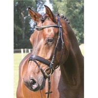 Hans Melzer Horse Equiqment Hans Melzer Trense Kreuth schwarz/silber Pony von Hans Melzer Horse Equiqment