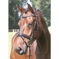 Hans Melzer Horse Equiqment Hans Melzer Trense Kreuth schwarz/silber WB EXTRA (KB-Kaltblut) von Hans Melzer Horse Equiqment