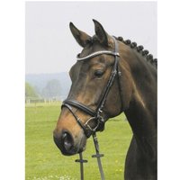 Hans Melzer Horse Equiqment Hans Melzer Trense Valluhn schwarz/silber schwedisches Reithalfter Pony von Hans Melzer Horse Equiqment