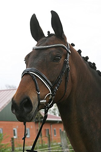 Hans Melzer Horse Equipment Trense Hagen, schwarz/weiß unterlegt, Warmblut von Hans Melzer