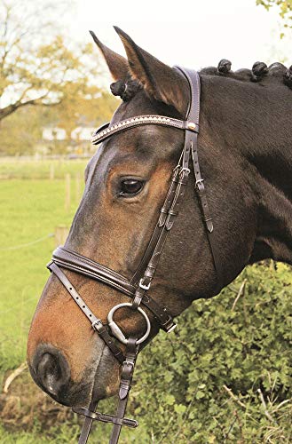 Hans Melzer Horse Equipment Trense Mechtersen, braun/silber, Warmblut von Hans Melzer