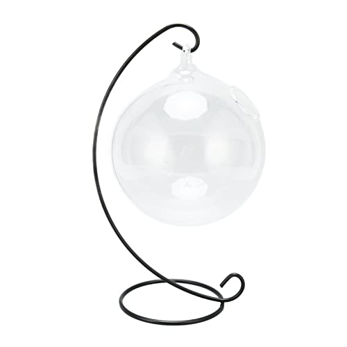 Haofy Hanges Glasaquarium Einzigartig Transparent Hängende Desktop -Sorten mit Stand für die Dekoration von Home Office, Pflaumenfisch -Anti Permeer mit Einem Design Haofy Hanges Glasaquarium Einzigartig Transparent Hängende Desktop -Sorten mit Stand für die Dekoration von Home Office, Pflaumenfisch -Anti Permeer mit Einem Design von Haofy