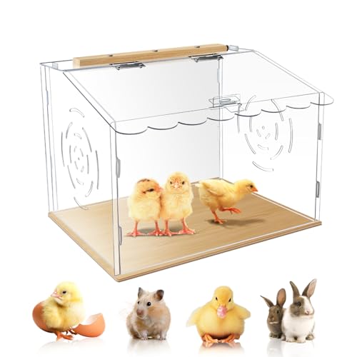 Geräumige Hühnerbrutbox, Brutkasten für Küken, Acryl Hühnerbrut, Hühnerbrutkasten, Hühnerbrüter Kit für Ruffed Grouse, Igel, Hamster, Reptilien (transparent) von Haohai