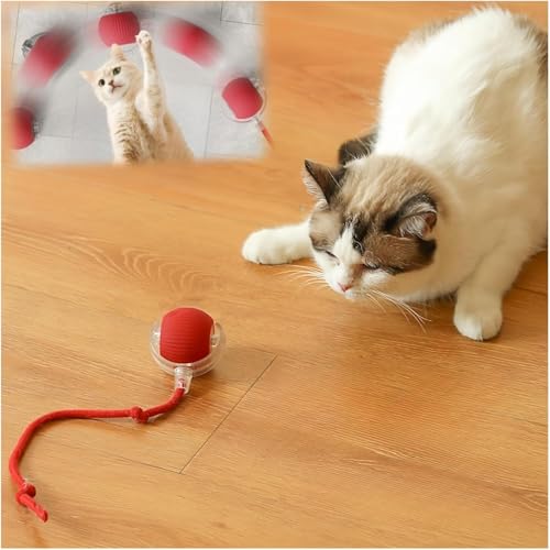 Haonewbee Interaktiver Katzenspielzeug-Ball, beweglicher Ball für Indoor-Katzenübung, schnelles Rollen auf Teppich, Automobilspielzeug für gelangweilte Katzen/Kätzchen, Grau von Haonewbee