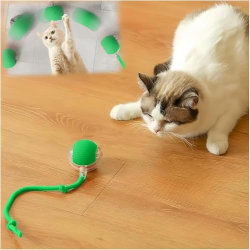 Haonewbee Interaktiver Katzenspielzeug-Ball, beweglicher Ball für Indoor-Katzenübung, schnelles Rollen auf Teppich, Automobilspielzeug für gelangweilte Katzen/Kätzchen, Grün von Haonewbee