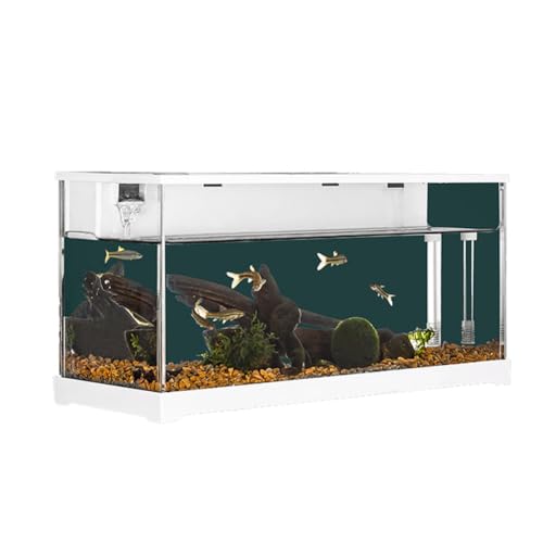 Acryl-Goldfischbecken, Aquarium, kleines transparentes Aquarium, Filter-Desktop-Aquarium-Fischschalen, modernes stummes Aquarium-Zubehör für Betta-Goldfisch-Schneckengarnelen Weiß, kein Licht von Hapihom