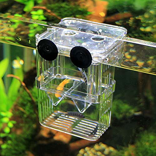 Hapihom Aquarium-Züchterbox für Aquarien, doppellagige, transparente Fischzucht-Isolationsbox mit Saugnäpfen, Aquarium, Brutkasten, Fischhaus mit Sauerstoffanschluss, 17,8 x 8,4 x 15,2 cm von Hapihom