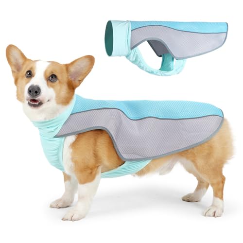 Kühlweste für Hunde für den Sommer, Haustierkleidung mit reflektierenden Streifen, atmungsaktives Netzgewebe, ärmellose Hundeweste im kombinierten Design für kleine, mittlere und große Hunde L von Hapihom