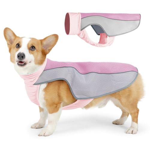 Kühlweste für Hunde für den Sommer, Haustierkleidung mit reflektierenden Streifen, atmungsaktives Netzgewebe, ärmellose Hundeweste im kombinierten Design für kleine, mittlere und große Hunde XL von Hapihom