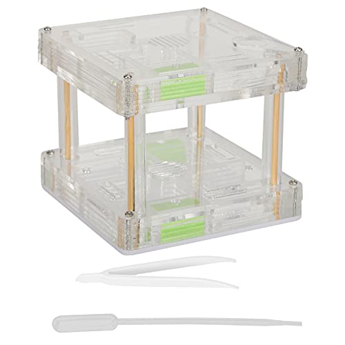 Ameisen Farm Box, Acryl Ameisen Zucht Box Ameisen Nester Haus Display Box Studie des Ameisen Verhaltens Ameisen Nester Farm Educational Formicarium for Ant von Hapivida