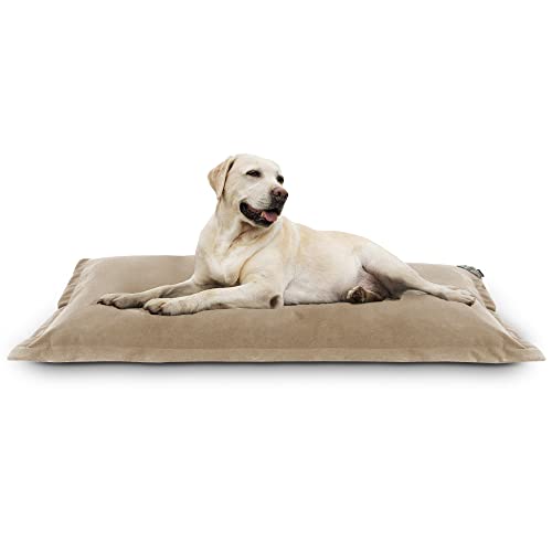 Happers Hundebett oder Katzenbett. Aquaclean Gewebe Abnehmbarer Bezug in Beige und Größe XL von Happers