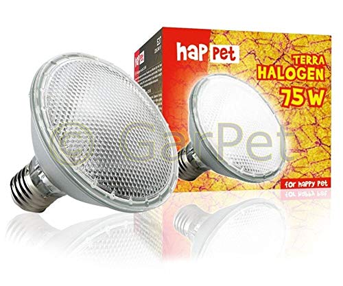 Happet Halogen Spot Strahler Terrarium Reptilien Wärme Lampe Küken Geflügel 35 50 75 W 75 W von Happet