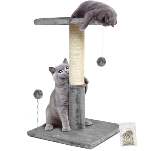 Happi N Pets 66CM Katzenkratzbaum, natürliche Sisal-Kratzbäume für Hauskatzen, Katzenbaum mit Plattform aus Plüsch 30 * 30 cm und Katzenspielzeugball, stabile Katzenkratzbäume für Kätzchen-Hellgrau von Happi N Pets